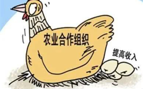 農民專(zhuān)業(yè)合作社的概念