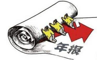 漯河稅務(wù)年報申報怎么報
