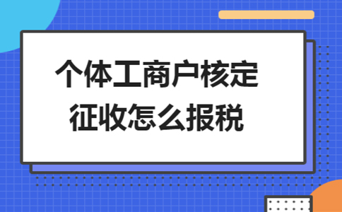 海南個(gè)體戶(hù)核定征收年報辦理流程
